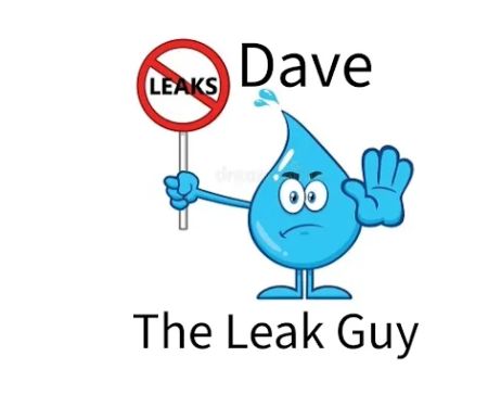 Dave The Leak Guy