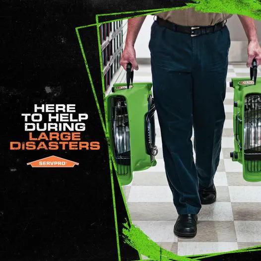 SERVPRO of Dunedin / Palm Harbor South Picture 4