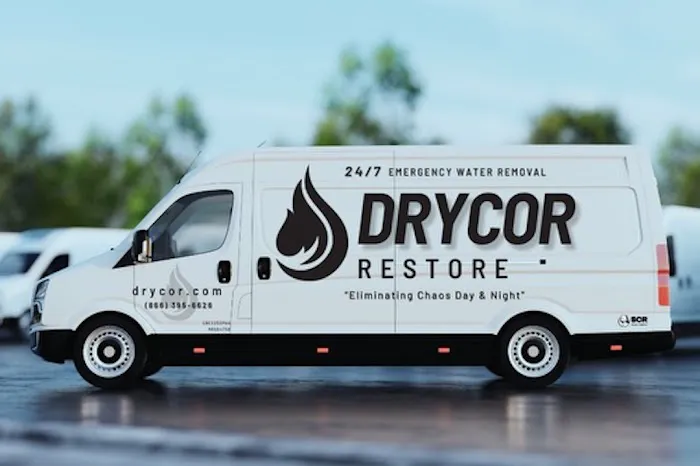 DRYCOR RESTORE Picture 6