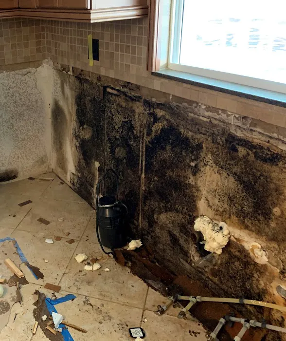 DRYCOR RESTORE Picture 5