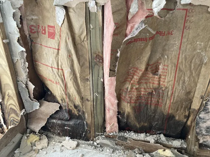 DRYCOR RESTORE Picture 3