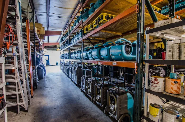 ServiceMaster DSI - Tampa Picture 4