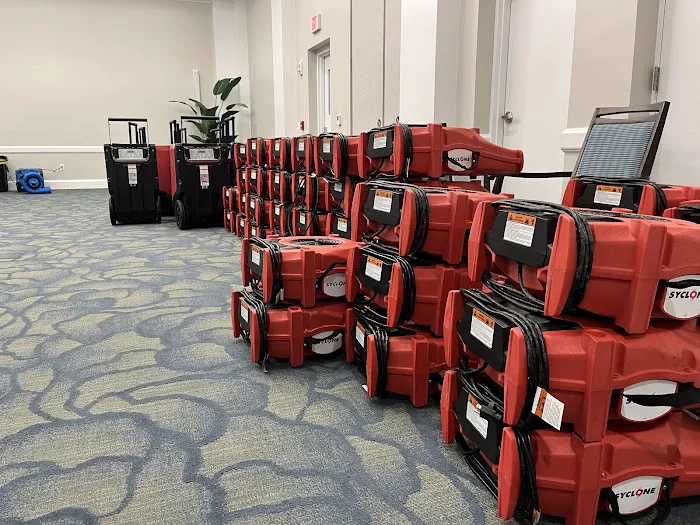 Avid Restoration Picture 6