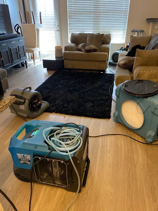 Avid Restoration Picture 10