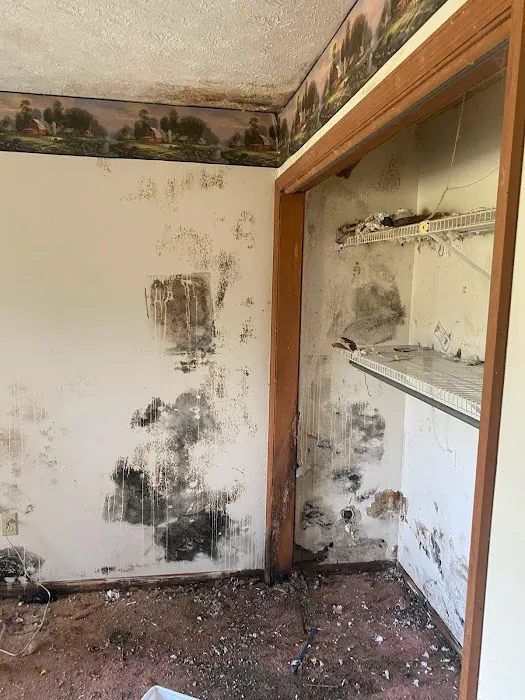 Avid Restoration Picture 4