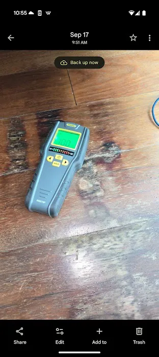 Restoration 1 of Tampa Bay Picture 2