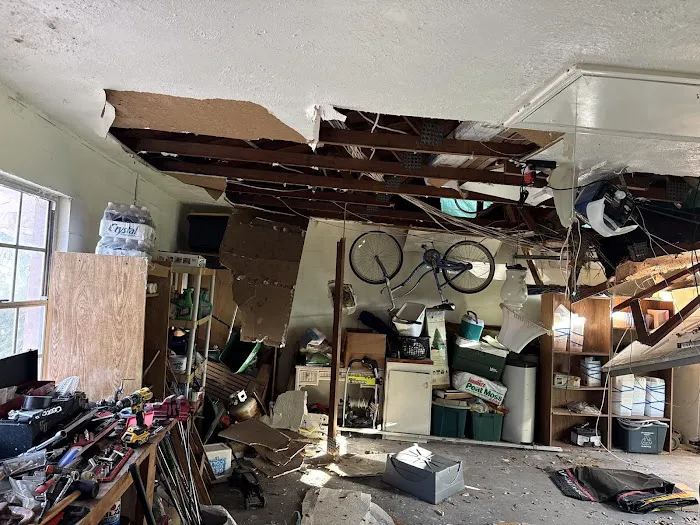 Restoration 1 of Tampa Bay Picture 9