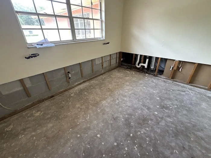 Restoration 1 of Tampa Bay Picture 10