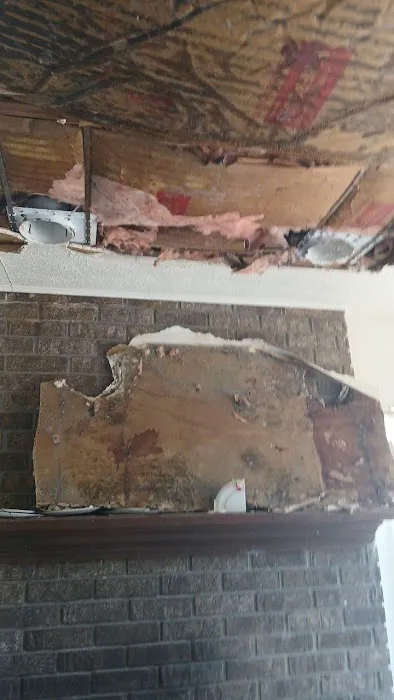 Restoration 1 of Tampa Bay Picture 8