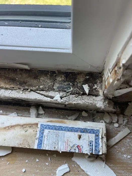 Restoration 1 of Tampa Bay Picture 5