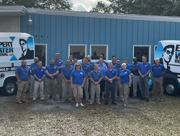 Expert Water Removal Picture 3