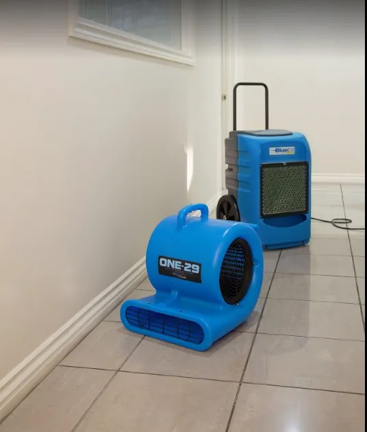 Expert Water Removal Picture 1