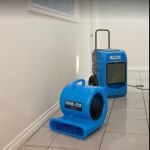 Expert Water Removal