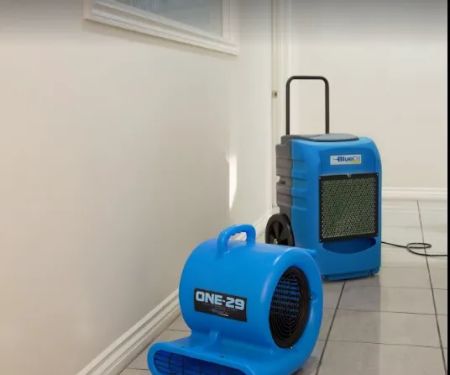 Expert Water Removal