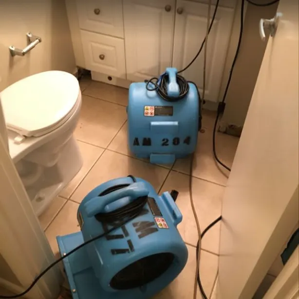 Expert Water Removal Picture 8