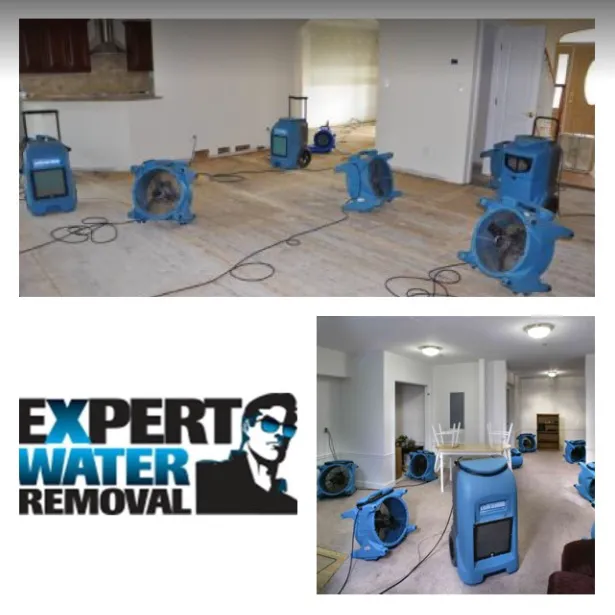 Expert Water Removal Picture 10