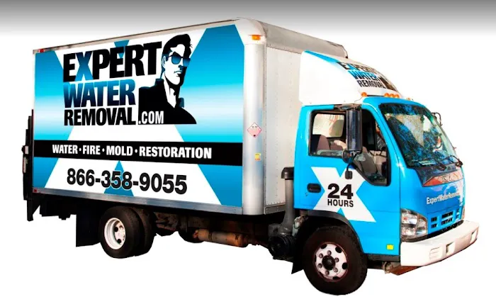 Expert Water Removal Picture 6