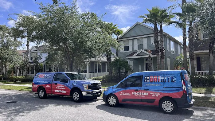 DriRite - Disaster Restoration Picture 6