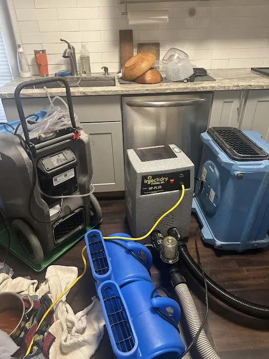 DriRite - Disaster Restoration Picture 2