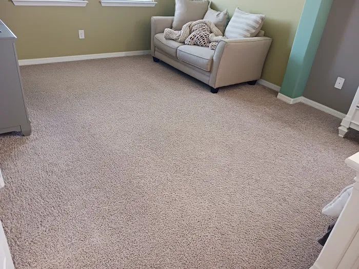 Stanley Steemer Picture 1