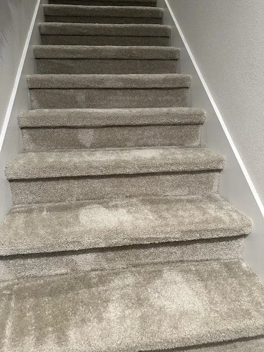 Stanley Steemer Picture 7