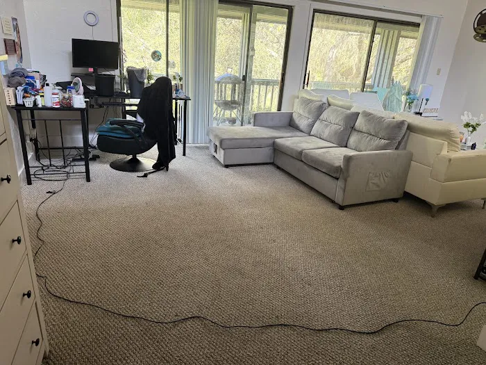 Stanley Steemer Picture 5