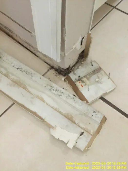 Rytech of Central FL Picture 3