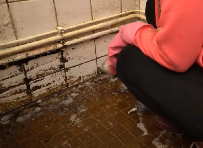 Certified Mold & Water Damage Restoration Of Tampa Picture 10