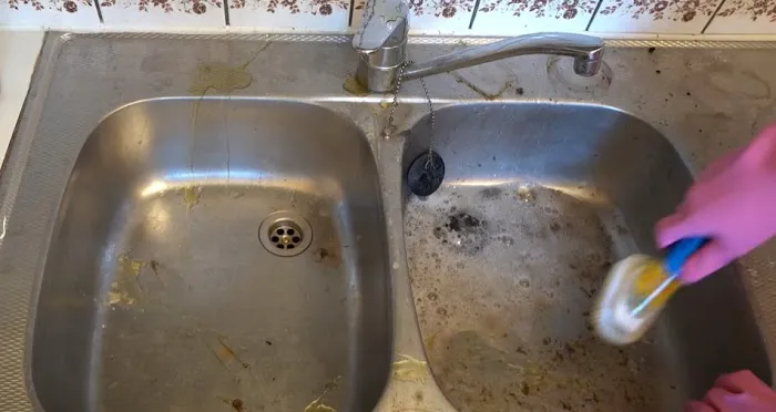 Certified Mold & Water Damage Restoration Of Tampa Picture 2