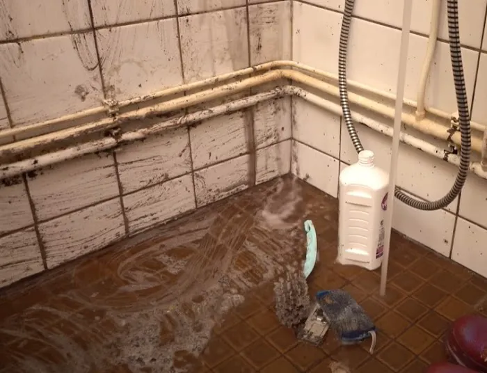 Certified Mold & Water Damage Restoration Of Tampa Picture 6