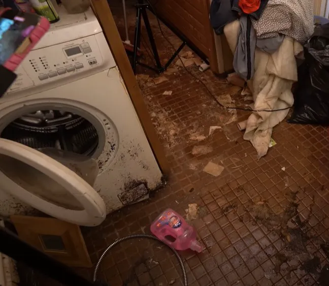 Certified Mold & Water Damage Restoration Of Tampa Picture 5