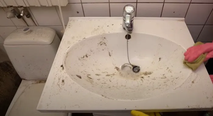 Certified Mold & Water Damage Restoration Of Tampa Picture 8