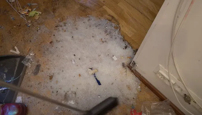 Certified Mold & Water Damage Restoration Of Tampa Picture 1