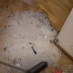 Certified Mold & Water Damage Restoration Of Tampa
