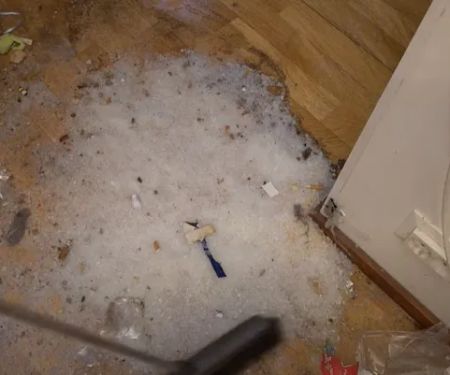 Certified Mold & Water Damage Restoration Of Tampa