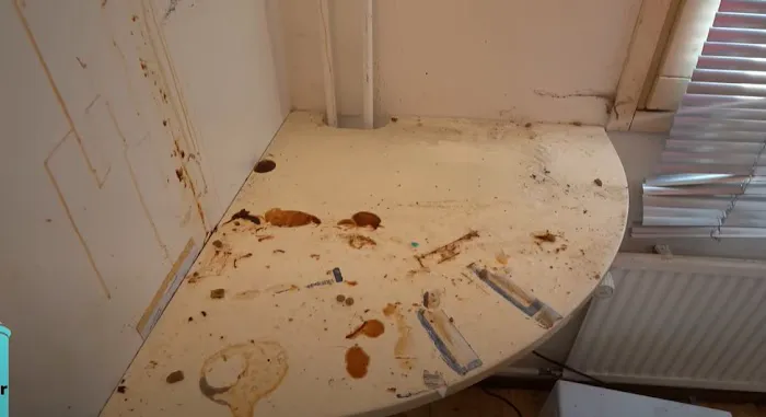 Certified Mold & Water Damage Restoration Of Tampa Picture 4