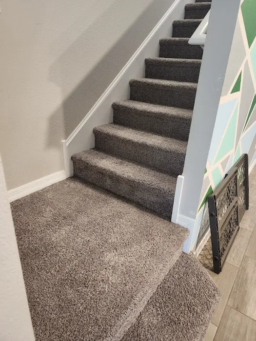 Stanley Steemer Picture 10