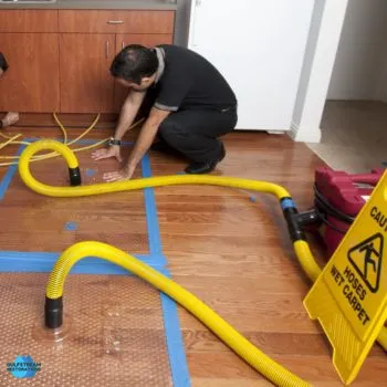 Gulfstream Picture 5