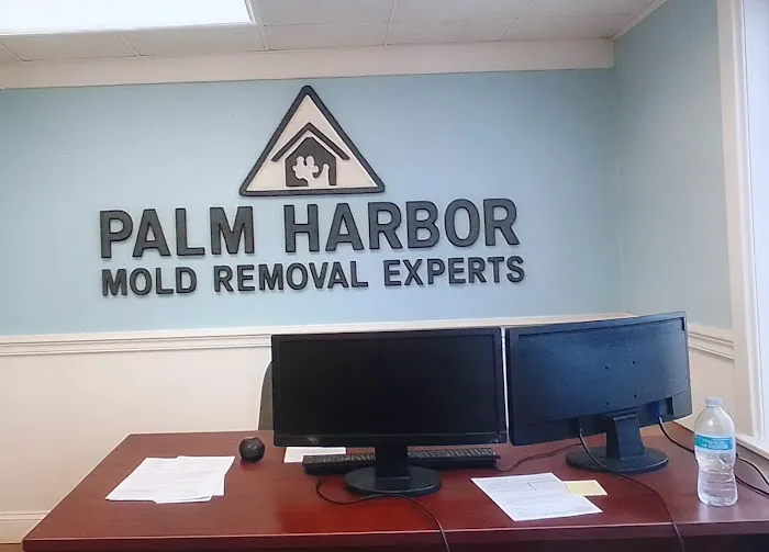 Palm Harbor Mold Removal Experts Picture 2