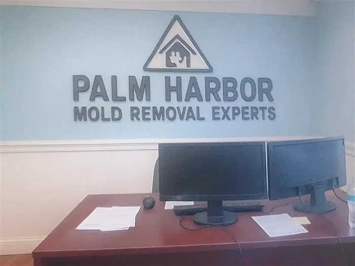 Palm Harbor Mold Removal Experts Picture 1
