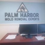 Palm Harbor Mold Removal Experts
