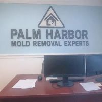 Palm Harbor Mold Removal Experts ico