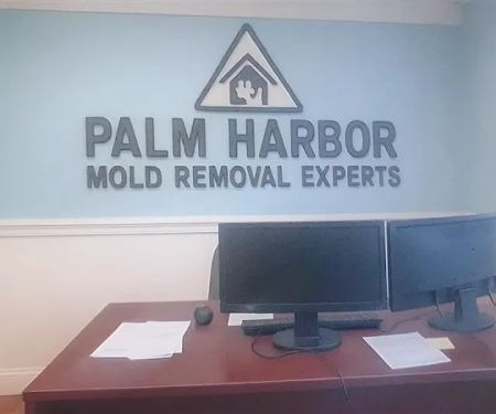 Palm Harbor Mold Removal Experts