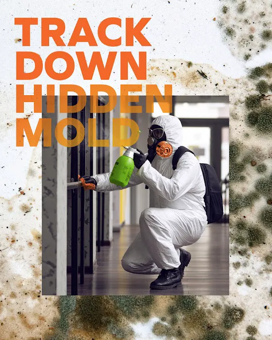 SERVPRO of Clearwater North, Safety Harbor Picture 9