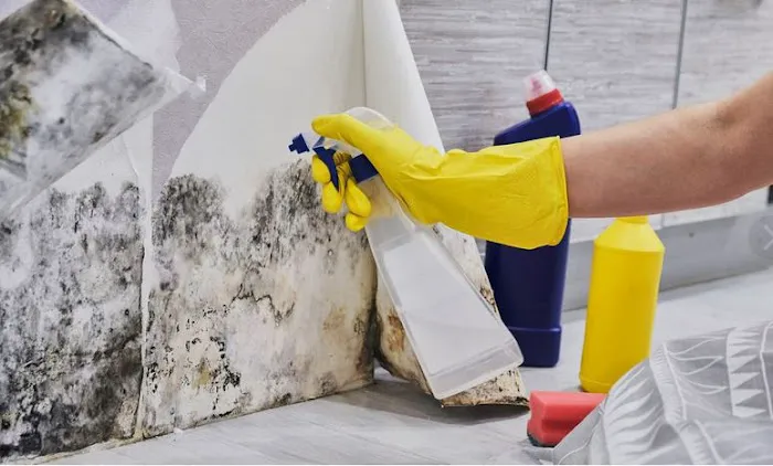 Flood Pros USA Picture 4