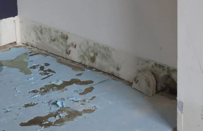 Flood Pros USA Picture 1