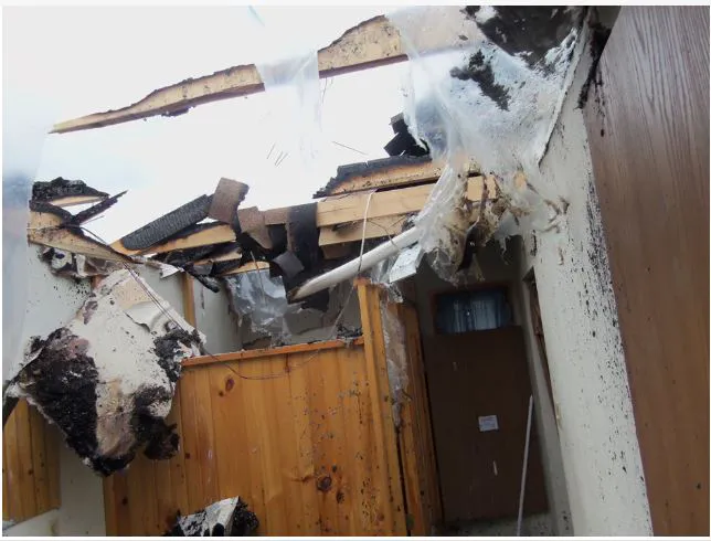 Flood Pros USA Picture 5