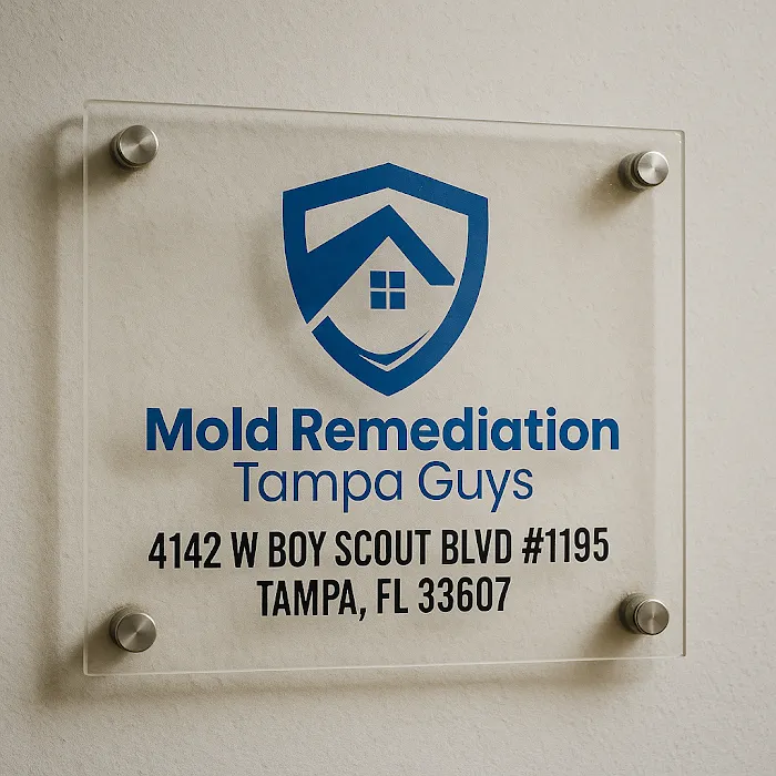 Mold Remediation Tampa Guys Picture 2