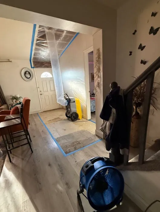 Mold Remediation Tampa Guys Picture 1