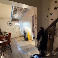 Mold Remediation Tampa Guys ico